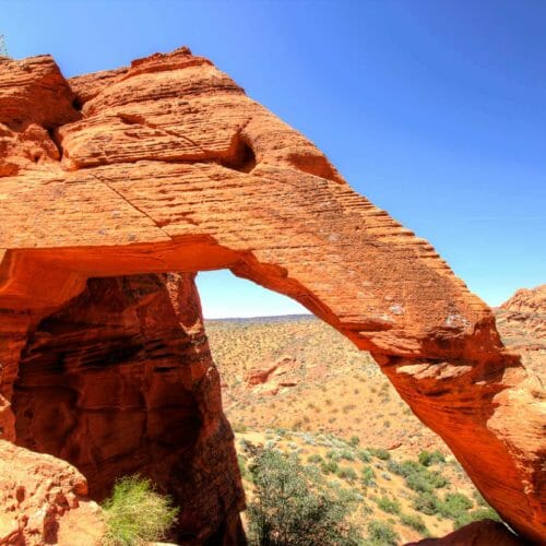 Sloní skalní útvar v Red Cliffs National Conservation Area