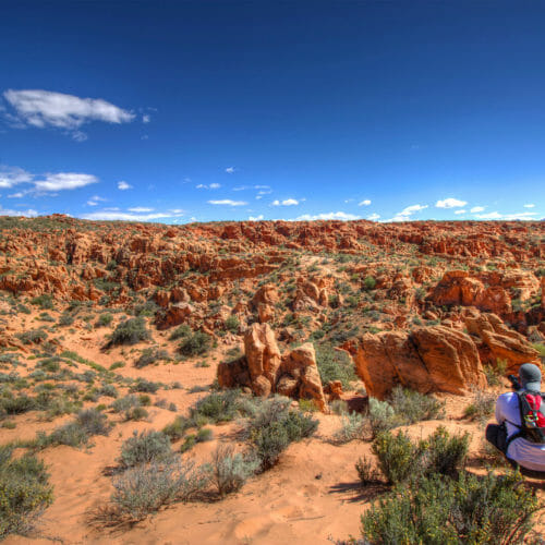 Man hiking in the Red Cliffs National Conservation Area