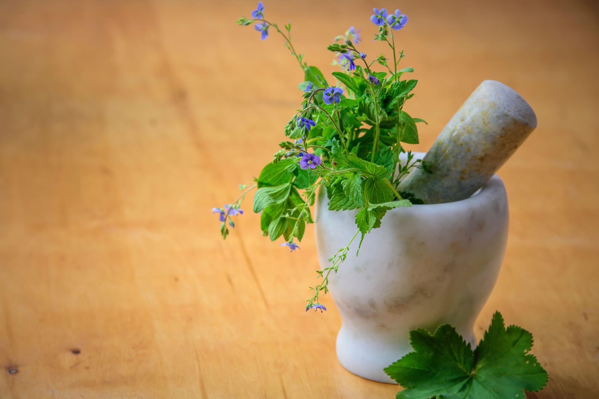 Green herbs in mortar with pestle