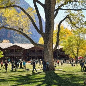 people walking in park
