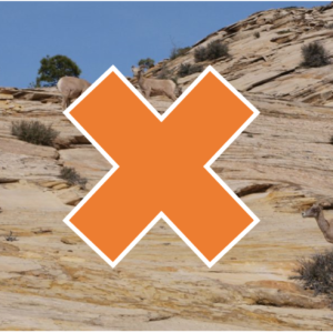 goats on rocks