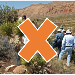 people standing in the desert