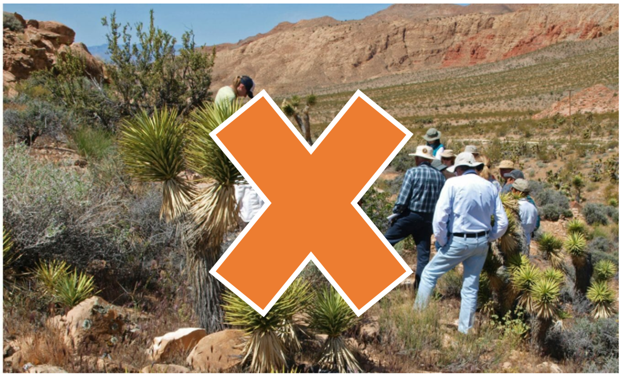 people standing in the desert