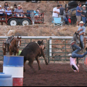 veyo rodeo