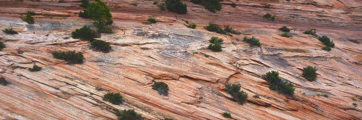 zion geology 2