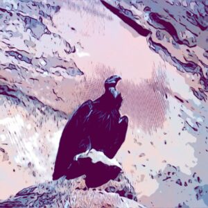 BEGIVENHED FOTO 1K Brett Fay Stylized 1