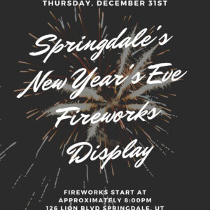 Springdale fireworks display