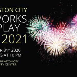 washington city fireworks display