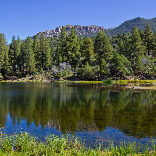 Pine Valley Utah