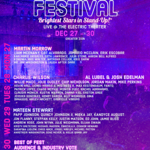 Festival električne komedije dec