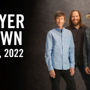 Sawyer brązowy 2022