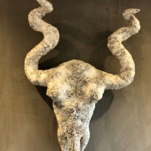 Crâne mystérieux 768x1024 1